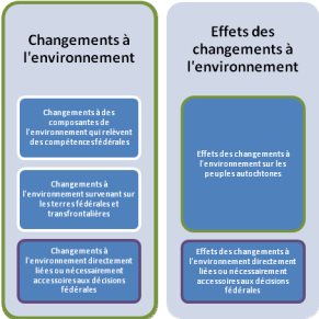 Figure 2. «&nbsp;Effets environnementaux&nbsp;» en vertu de la Loi Canadienne sur l'évaluation environnementale (2012)