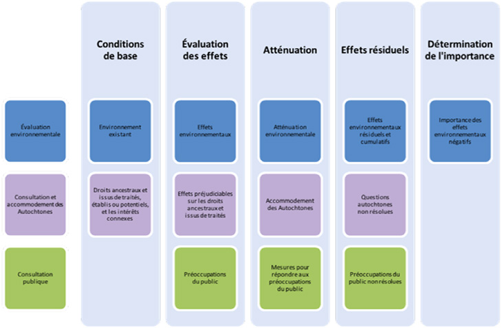 Figure 1. Intégration de l'évaluation environnementale et des renseignements recueillis pendant la consultation des Autochtones et du public dans l'étude d'impact environnemental.