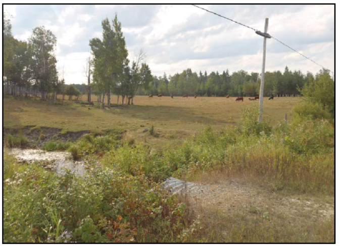 Title: Pinewood River and surroundings, portraying lands recovering from past forestry and farming activities in which the project site is located - Description: Photo of the Pinewood River and surroundings, described in text in section 5.1.