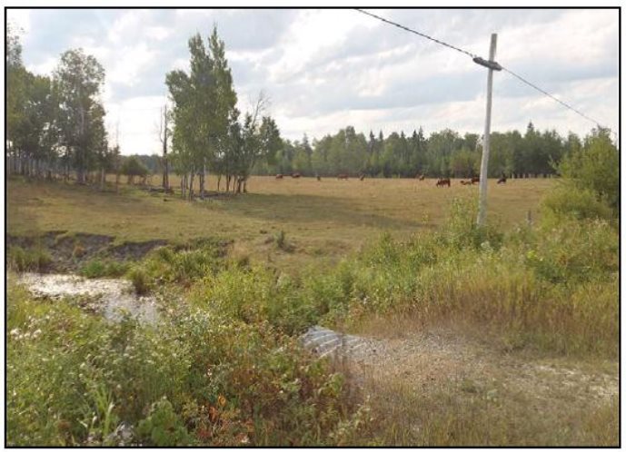 Photo de la rivière Pinewood et des environs décrits à la section 5.1. et qui est représentatives des terres touchées par des activités forestières et agricoles où se touve le site du projet. 