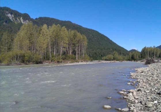 Photo montrant la rivière Unuk à une location proche du parc provincial Border Lake située à la frontière du Canada et des États-Unis. La rivière est approximativement 500 mètres de large dans cette photo. La photo a été prise en regardant en avale