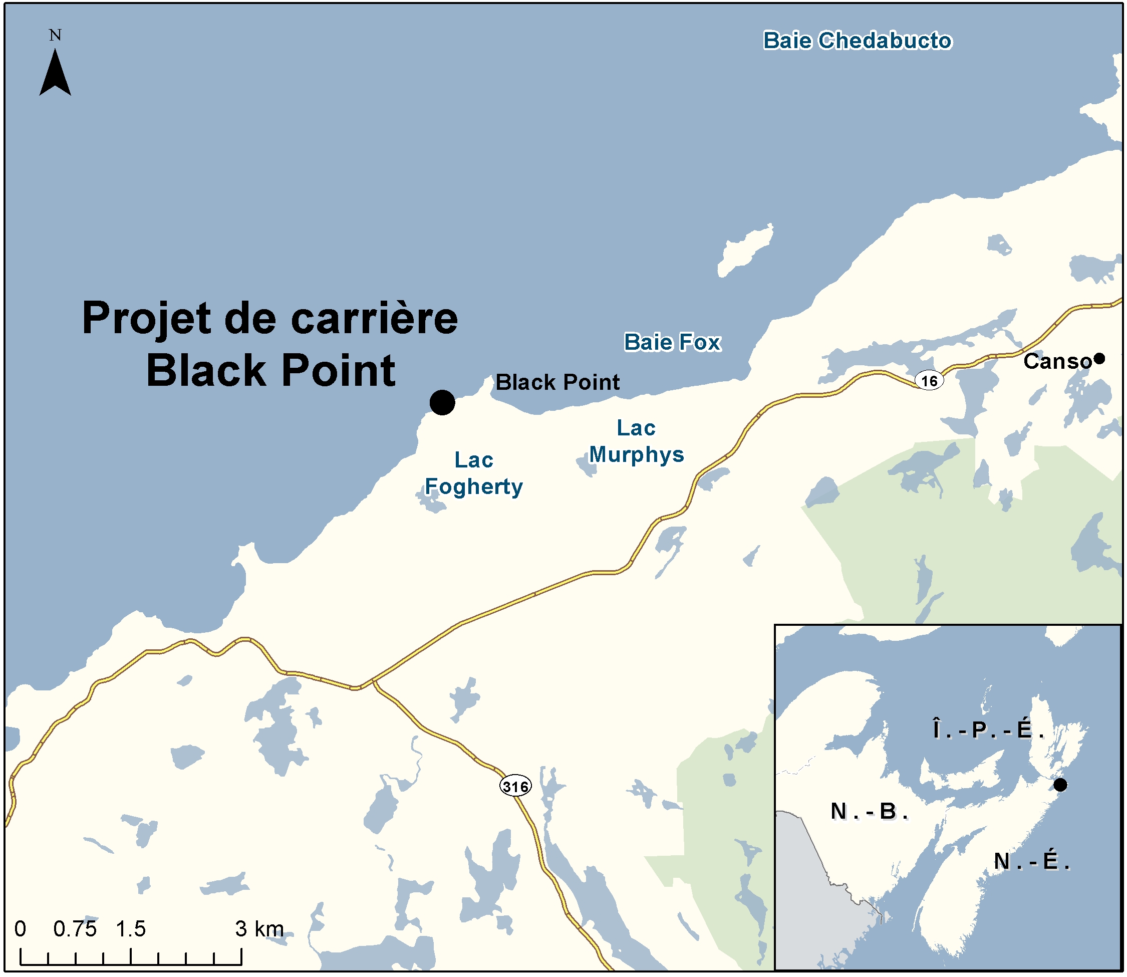 Carte indiquant l'emplacement du projet, tel que décrit dans le présent document.