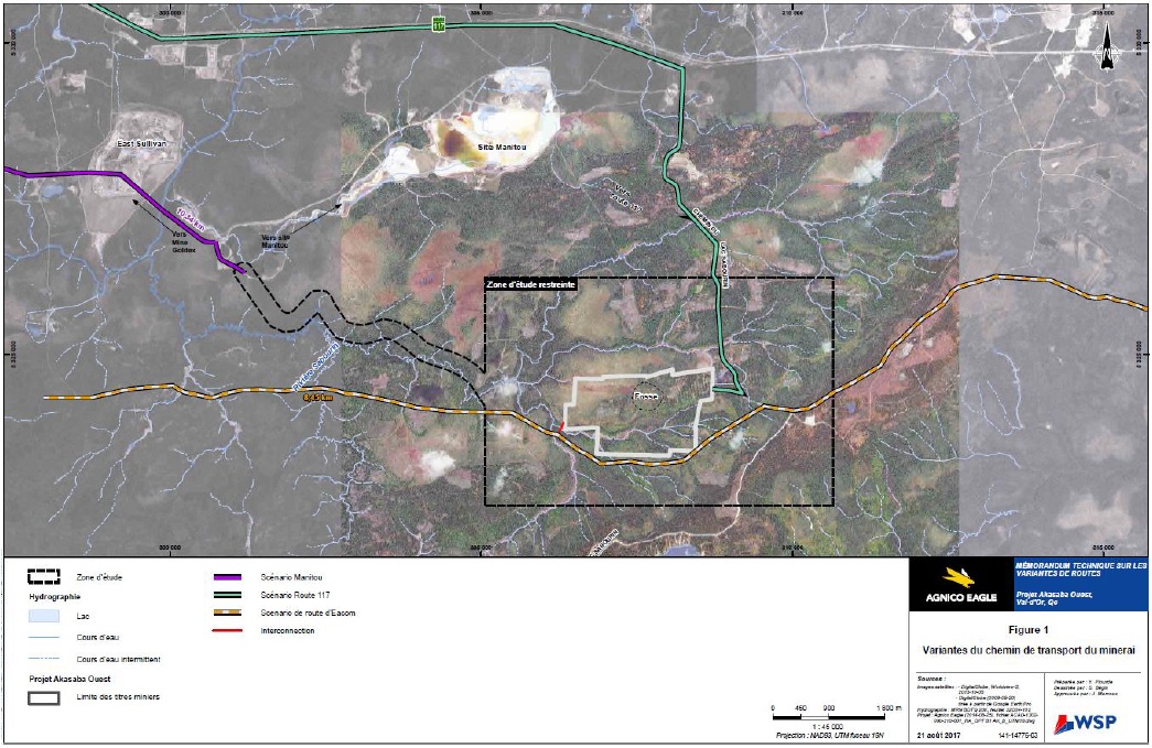 Figure 4: Variantes de la route de transport de minerai et chemin forestier Eacom