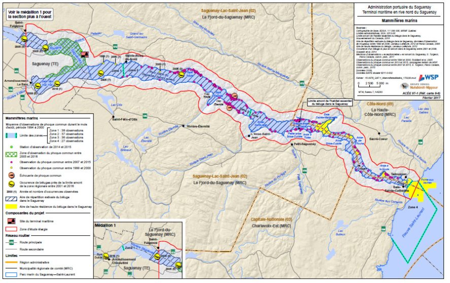 Figure 11: Présences du béluga du Saint-Laurent et du phoque commun dans la rivière Saguenay