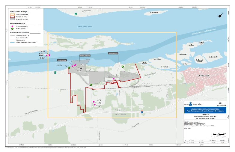Figure 11 : Colonies d'hirondelles de rivage présentes dans la zone d'étude locale