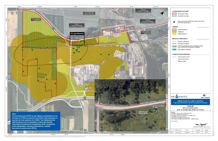 Figure 12 : Habitat essentiel et résidence de la rainette faux-grillon de l'Ouest dans la zone d'étude locale