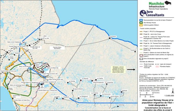 Figure 8 : Aires d'habitat du caribou des bois (population boréale) et du caribou migrateur de l'Est par rapport à l'empreinte du projet, à la ZEL et à la ZER