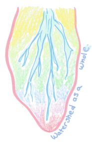 L'image dessinée à la main est un enregistrement graphique capturé lors des réunions du GTER. Elle montre des rivières sur un fond coloré, et il est inscrit &laquo;&nbsp;ensemble du bassin versant&nbsp;&raquo;.