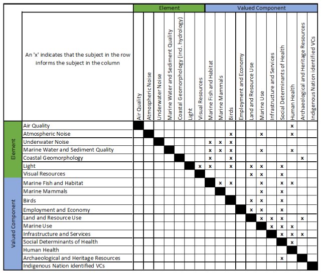 Figure 1 Matrice des rapports entre les éléments et les composantes valorisées