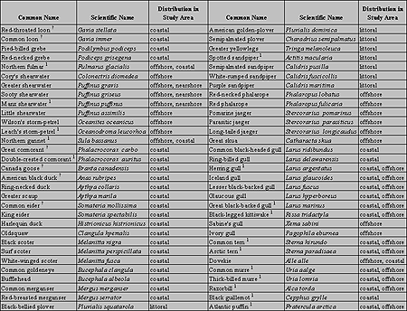 Table 4.2: Marine Birds Recorded in the Study Area