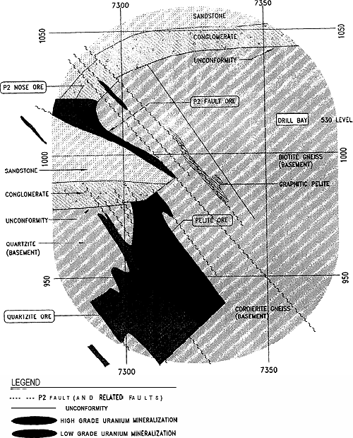 Figure 3: ldealized Cross-Section of the P-Z Ore Body